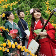 Japanese Music Project - 柴田三兄妹、津軽三味線
