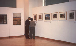Exposition - La beauté du Japon photographiée