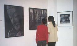 Exposition - La beauté du Japon photographiée