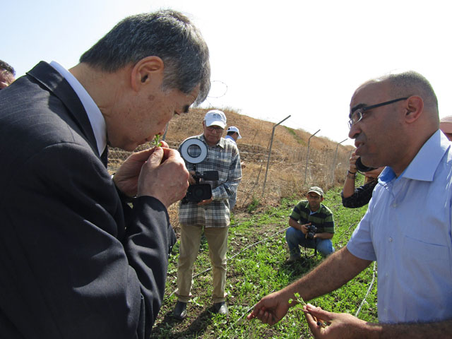 Visite au site du « Projet de l’Amélioration du Système d’Irrigation dans le Périmètre Irrigué des Abda Doukkala » par l’Ambassadeur HANATANI - 29/09/2017