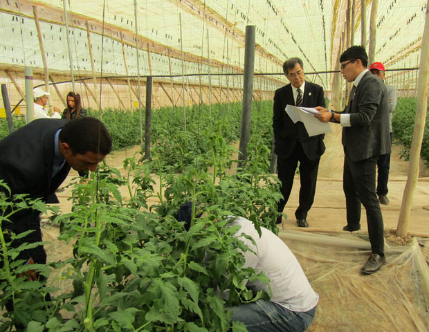 Visite de l’Ambassadeur HANATANI au site de l’étude de vérification de la technologie de la gestion de l’eau agricole introduite par l’entreprise japonaise «Tottori Resource Recycling, Inc.»_05/09/2018