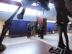 Visite de l’Ambassadeur KUROKAWA au Musée du Ministère de l’Energie, des Mines, de l’Eau et de l’Environnement - 2015/10/19