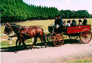 Ferme Impériale - Goryo Bokujyo