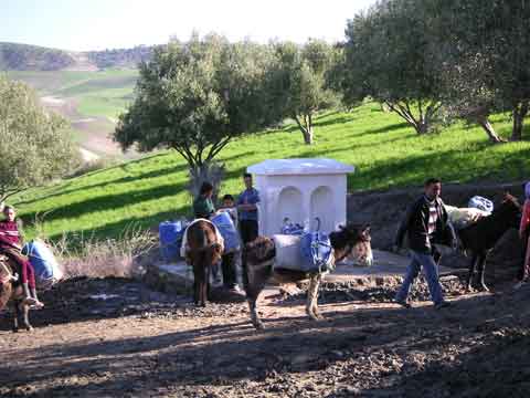 Approvisionnement en eau potable en milieu rural (I)