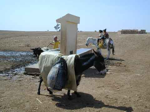 Approvisionnement en eau potable en milieu rural (II)